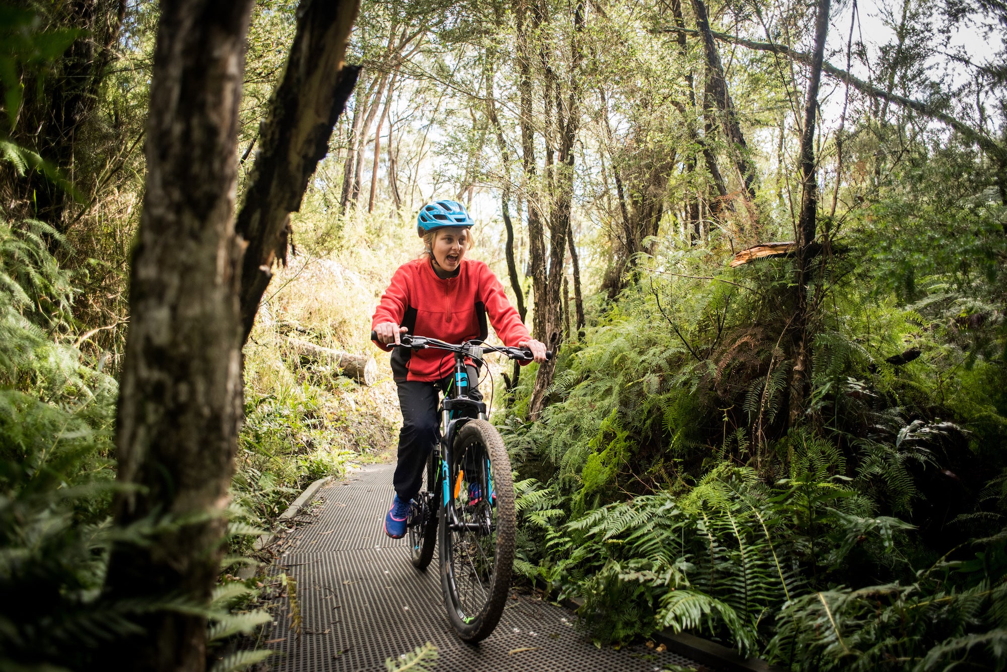 A FLEET OF FRESH MOUNTAIN BIKES